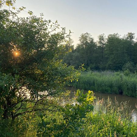 Przytulny Domek W Lesie Blisko Rzeki Ryczywol  Dış mekan fotoğraf