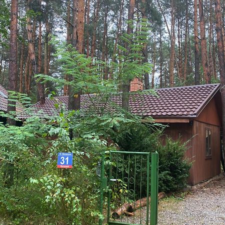 Przytulny Domek W Lesie Blisko Rzeki Ryczywol  Dış mekan fotoğraf