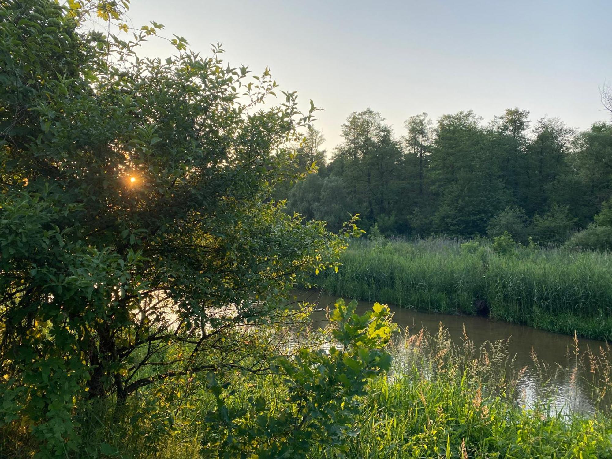Przytulny Domek W Lesie Blisko Rzeki Ryczywol  Dış mekan fotoğraf