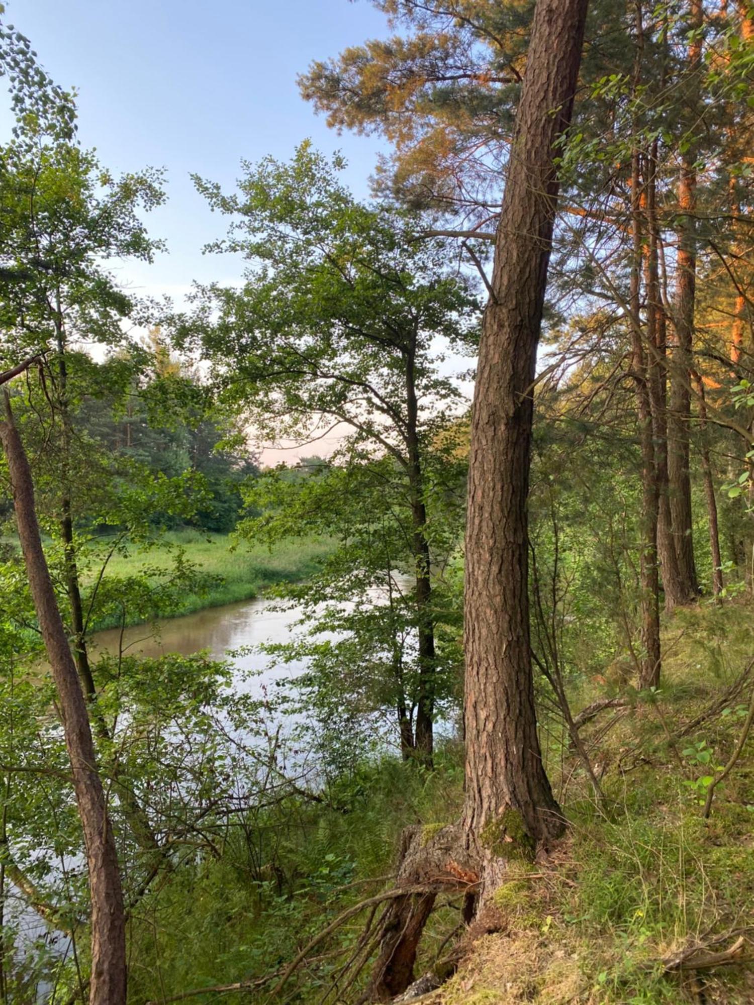 Przytulny Domek W Lesie Blisko Rzeki Ryczywol  Dış mekan fotoğraf